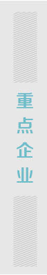 重點(diǎn)企業(yè)